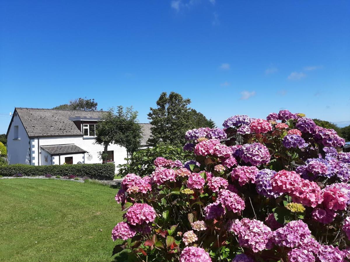 Trenewydd Farm Holiday Cottages Cardigan Eksteriør bilde